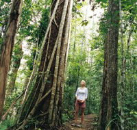 Wet Tropics - E Caravan Parks