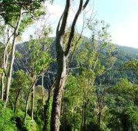 Smiths Track Barron Gorge National Park - E Caravan Parks