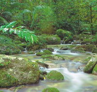 Mossman Gorge Daintree National Park - E Caravan Parks
