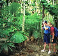 Mount Sorrow Ridge Trail Daintree National Park - E Caravan Parks