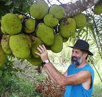 Cape Trib Exotic Fruit Farm - E Caravan Parks
