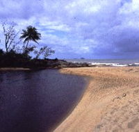 Russell River National Park - E Caravan Parks