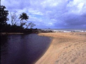 Russell River National Park - E Caravan Parks 0