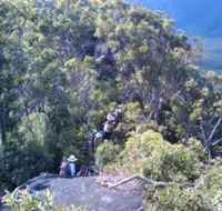 Mia Mia State Forest - E Caravan Parks