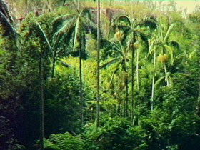 Mungungo QLD E Caravan Parks