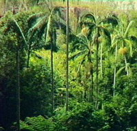 Fern Tree Pool and Giant's Chair Circuit - E Caravan Parks
