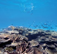 Australian Institute of Marine Science - E Caravan Parks