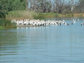 Lake Ross - E Caravan Parks 0
