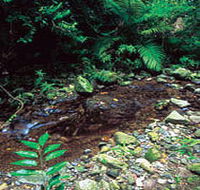 Wompoo Walk - E Caravan Parks