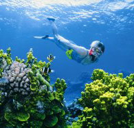 Wheeler Reef Dive Site - E Caravan Parks