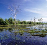 Tyto Wetlands - E Caravan Parks
