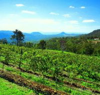 Preston Peak Wines - E Caravan Parks
