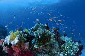 Cherubs Cave Dive Site - E Caravan Parks 0