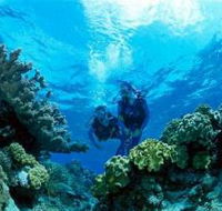 Coral Gardens Dive Site - E Caravan Parks