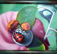 Kingaroy Shire Art Gallery - E Caravan Parks