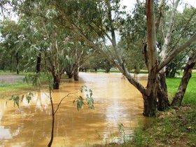 Saddliers Waterhole And Hamburg Creek - E Caravan Parks 0