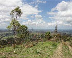City View Camping And 4WD Park - E Caravan Parks 0