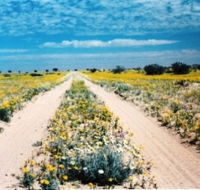 Birdsville Track - E Caravan Parks