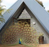 Halls Gap Zoo - E Caravan Parks