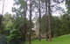 Mount Dandenong Arboretum - thumb 0