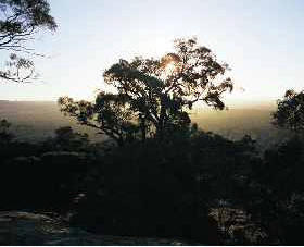 Ivanhoe East VIC E Caravan Parks