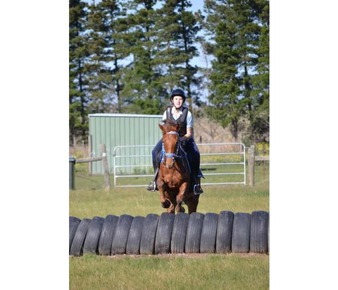 Saddle On Riding School - E Caravan Parks 9