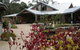 Kuranga Native Nursery And Paperbark Cafe - thumb 0