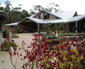 Kuranga Native Nursery And Paperbark Cafe - E Caravan Parks 0