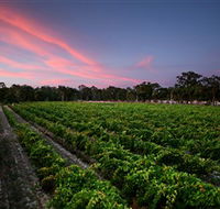 Amherst Winery - E Caravan Parks