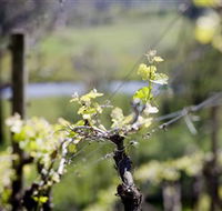 Michelini Wines - E Caravan Parks