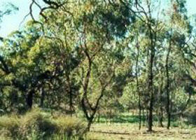 Appin South VIC E Caravan Parks