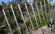 Herring Island Environmental Sculpture Park - thumb 0