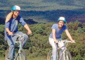 Lysterfield Park - E Caravan Parks 0