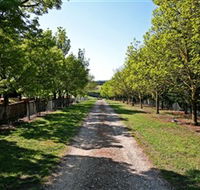 Waybourne Winery - E Caravan Parks