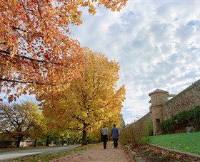 Beechworth Historic And Cultural Precinct - E Caravan Parks 0