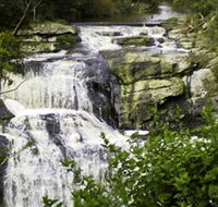 Agnes Falls Scenic Reserve - E Caravan Parks