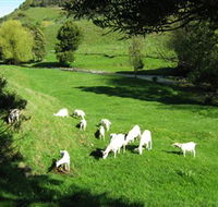 Goats of Gaia Soap - E Caravan Parks