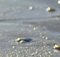 Cape Liptrap Coastal Park - E Caravan Parks