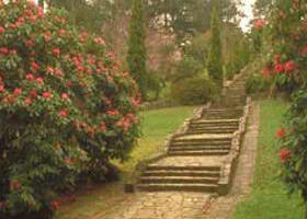 Maroondah Reservoir Park - E Caravan Parks 0