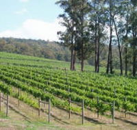 Piedmont Vineyard - E Caravan Parks