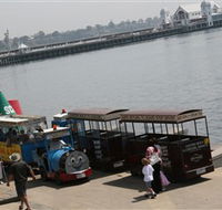 Waterfront Train Tours and Bungy Trampoline - E Caravan Parks