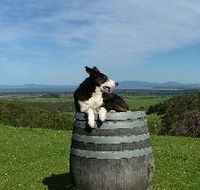 Windy Ridge Vineyard and Winery - E Caravan Parks