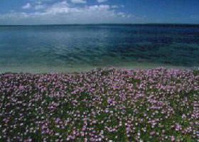 Airly VIC E Caravan Parks