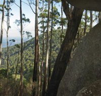 Gulaga National Park - E Caravan Parks