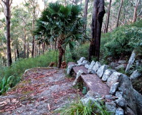 Wodi Wodi Walking Track - E Caravan Parks 0