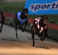 Dapto Dogs - E Caravan Parks