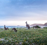 Pebbly Beach - E Caravan Parks