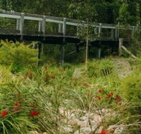 Eurobodalla Botanic Gardens - E Caravan Parks