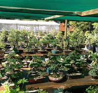Bonsai at the Bay - E Caravan Parks