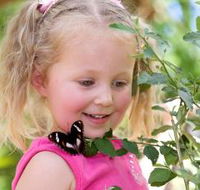 Coffs Harbour Butterfly House - E Caravan Parks